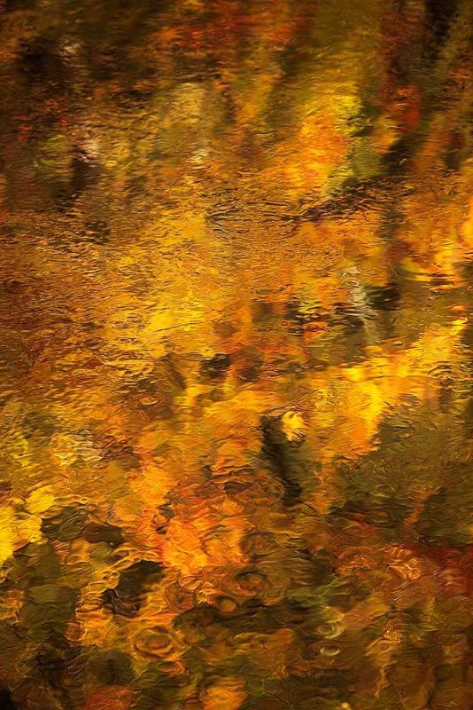 river wharfe abstract.jpg